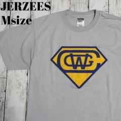 アメリカ古着　ジャージーズ　JERZEES ビッグロゴ　USA古着 Tシャツ