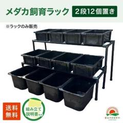☆メダカ飼育ラック黒2段12個置き☆ めだか飼育棚NVBOX