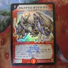 2025年最新】ボルメテウスホワイトドラゴン スリーブの人気