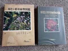 原色日本植物図鑑 5冊セット 原色園芸植物図鑑 全5巻揃 保育社の原色図鑑33～37(塚本洋太郎