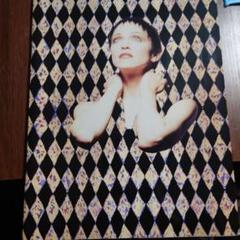 激レア マドンナ 1987ワールドツアー パンフ MADONNA マドンナ WHO'S THAT GIRL WORLD TOUR 1987 日本公演
