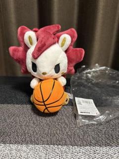 川崎ブレイブサンダース