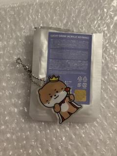 SEVENTEEN　ミニティーン　ディノ　ポーチ　チャンダリ　CHANDALEE SEVENTEEN MINITEEN ディノ CHANDALEE チャンダリ