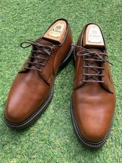Alden アルパイン ブラウン 7h,D