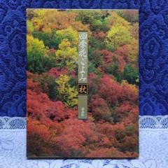 04◇四季の点心 四季の茶花 2冊セット◇古書