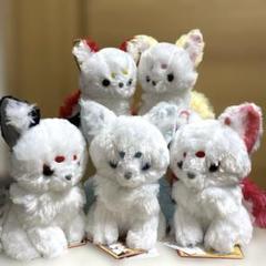 ちょコンと九尾のキツネ コンパクトJB ぬいぐるみ タイトー限定