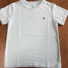 THE NORTH FACE Tシャツ 140サイズ 水色 モンキーマジック