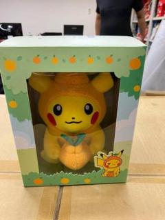 韓国チェジュ島限定 ピカチュウぬいぐるみ