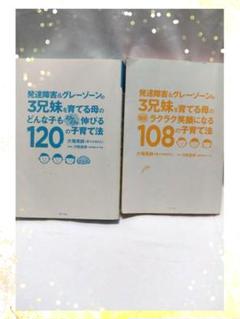 発達障害&グレーゾーンの子育て本 2冊セット