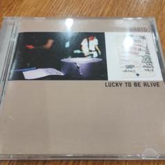 Braid / Lucky to Be Alive / 名作LIVE盤