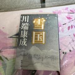 雪国のサムネイル