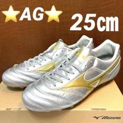 モレリア　DNA シルバー×ゴールド　30cm MIZUNO ミズノ モレリア DNA JAPAN(シルバー×ゴールド