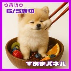 【残り1枚✨】モチモチほっぺのおぜんざいわんこのパネル生地