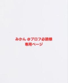 yプロフィール必読 6/10までの出品 💙自然光で映す、青のランドセルコレクション💙 深みのある