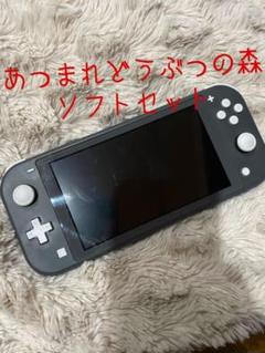 Nintendo Switch Lite グレー