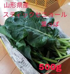 スティックセニョール 茎ブロッコリーの葉っぱ★500g エサ おやつにも最適