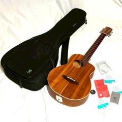 2025年最新】anuenue bird guitarの人気アイテム - メルカリ