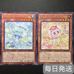 遊戯王OCG 霊王の波動 マルチャミーフワロス手札誘発セット 遊戯王】 マルチャミー・フワロス ROTA(1206)/レア の通販