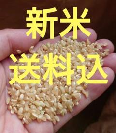 新米 コシヒカリ 玄米約30kg 滋賀県高島産 濡れ防止梱包 - メルカリ