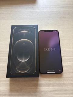 iPhone 12 pro max 256 GB