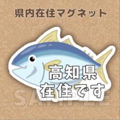 【高知県】県内在住 / 県外ナンバー マグネットステッカー