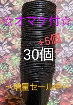 黒色ポリポット35個❬6cm 2号❭☆オマケ付☆
