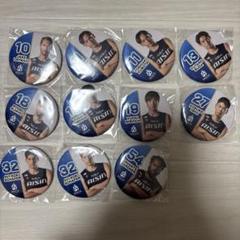 新品 非売品 Bリーグ シーホース三河 缶バッジ 14種 コンプリート 新品 非売品 Bリーグ シーホース三河 缶バッジ 14種