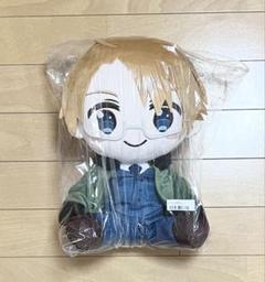 20cm着せ替えぬいぐるみ本体 ヘタリア アメリカ アルフレッド・F
