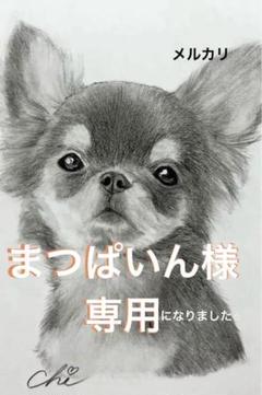 【kazu】 鉛筆画 犬 チワワ マルチーズ 手描き イラスト 原画 チワワ 犬 原画 鉛筆画 絵画 手描き イラスト 2Lサイズ スムース
