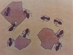 熊谷 守一、馬追蟲、希少・限定額装用画集画 熊谷守一、百合、希少限定画集画、新品額付 - メルカリ