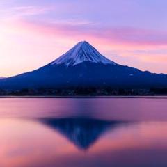 【動作確認済み】 アイスクライマー　（ファミコン）