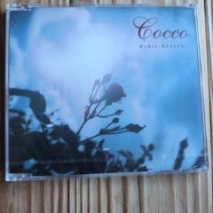 Cocco ガーネット・セルフィド