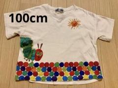 キッズ トップス 100cm はらぺこあおむし エリックカール アカチャンホンポ