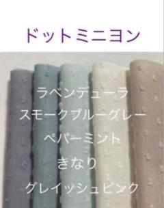セール10×20♪5枚♡ドットミニヨン check&stripe チェックアンド