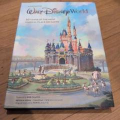 A PORTRAIT OF WALTDISNEYWORLD KERN