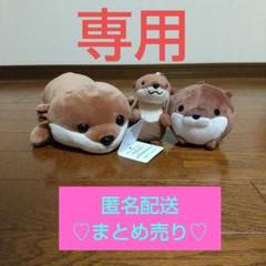 カワウソくじ　A賞　特大ぬいぐるみ　B賞 C賞　セット！ ② ナガノのカワウソ ぬいぐるみくじ - ナガノマーケット ナガノ