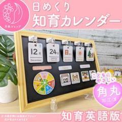 英語シンプル】English 前向き日めくりカレンダー 保育 知育