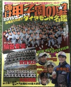 輝け甲子園の星 2015年3月号のサムネイル