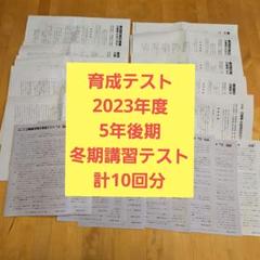 【最新】日能研　2024年度 後期育成テスト9回分 + 冬期特別テスト 日能研 6年生2024年度 公開模試 育成 合格力 春期 夏期 256