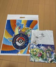 【未開封】ポケモンガオーレ　セレビィ　シンガポール限定 ダッシュ1弾さいしんじょうほう | ポケモンガオーレ公式サイト