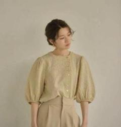 Eaphi volume sleeve jacquard blouse