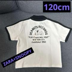 新品　ZARA スヌーピー　ポロシャツ　120cm ザラキッズ　ユニセックス
