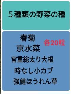 5種類の野菜の種セット 冬用 ★おまけで黒田五寸人参の種もつけます!