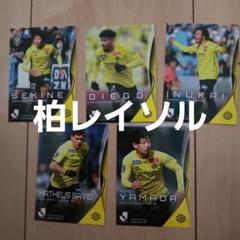 2024Jリーグオフィシャルトレーディングカード　柏レイソル　関根大輝