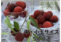 2025年最新】やまもも 大玉の人気アイテム - メルカリ