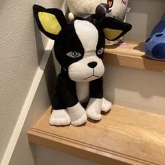 ジョジョイギーのぬいぐるみのサムネイル