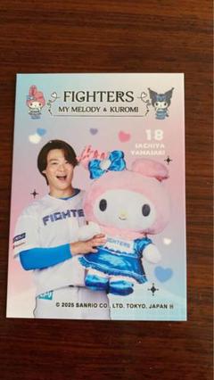 日ハム山崎福也投手 FAV限定グッズ4点セット - メルカリ