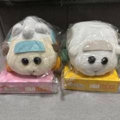 PUIPUIモルカー　ぴたれすと　シロモ　アビー　2点セット