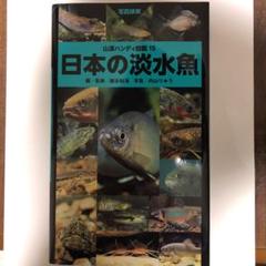 日本の淡水魚 : 写真検索