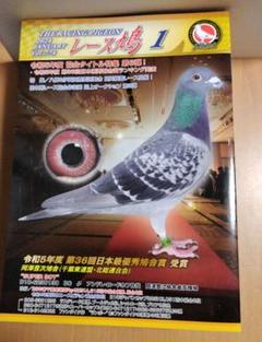 レース鳩　2024.1〜12月号　日本鳩レース協会発行　12冊
